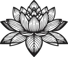 lotus blommor illustration färg sida, enkelhet, utsmyckning, svartvit, vektor konst, översikt skriva ut med blommar fikus blomma, fikus bukett löv, och knoppar, vatten lilja blomma tatuering teckning