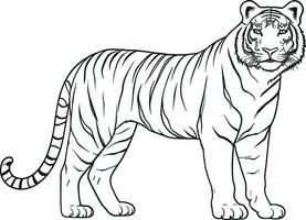 schwarz und Weiß Gliederung Illustration von das Gehen Tiger. ai generiert Illustration. vektor