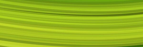 abstrakt grön elegant vibrerande bakgrund vektor