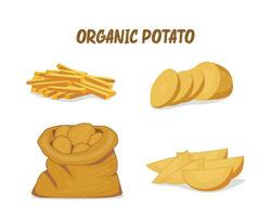 organisk potatis illustration uppsättning, vektor mall