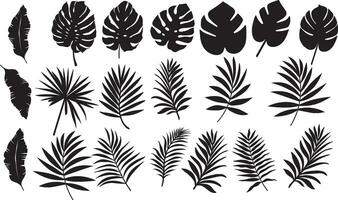 silhuett tropisk löv, handflatan löv uppsättning svart och vit vektor illustration