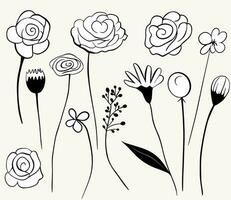 einfarbig Gekritzel Blumen. Blumen- Elemente Satz. Gliederung botanisch Illustration. Hand gezeichnet isoliert Pflanzen. vektor
