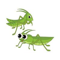 insekt djur- illustration vektor