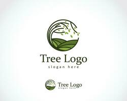 Baum Logo kreativ Kreis Natur Garten Tee Illustration Vektor
