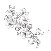 Blommande träd. Handgjorda botaniska blommar grenar bukett på vit bakgrund. Vektor illustration