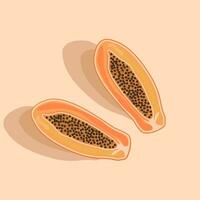 tropisch Obst Papaya, geschnitten im Hälfte mit Saat und Schatten. exotisch asiatisch tropisch Diät Lebensmittel. Vektor eben Illustration.