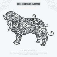 hund mandala vektor. vintage dekorativa element. orientaliskt mönster, vektorillustration. vektor