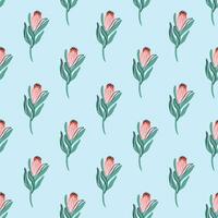 Protea nahtlos Muster. minimalistisch Boho Pflanze Hintergrund. exotisch Blume Ornament. Süd Afrika National Blume. Hand gezeichnet Vektor Illustration.