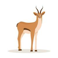 stilisiert afrikanisch Antilope. Gazelle mit Hörner auf Weiß Hintergrund. Säugetier Tier. Vektor Illustration im eben Karikatur Stil