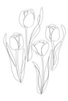 Tulpen Linie Kunst Pflanze Hand gezeichnet Vektor