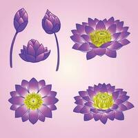 samling av violett lotus hand teckning design vektor