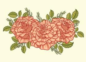 Strauß von Rosa Rose Blumen vektor