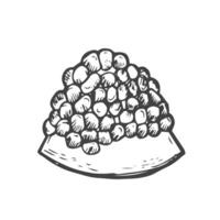 Granatapfel Scheibe und Samen. Tinte skizzieren isoliert auf Weiß Hintergrund. Hand gezeichnet Vektor Illustration.