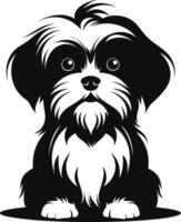 Silhouette Charakter shih tzu Hund, süß Logo. vektor