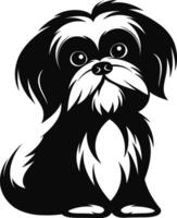 Silhouette Charakter shih tzu Hund, süß Logo. vektor