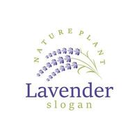 Lavendel Logo elegant lila Blume Pflanze Illustration Blumen- Ornament Design vektor