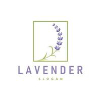 Lavendel Logo elegant lila Blume Pflanze Illustration Blumen- Ornament Design vektor