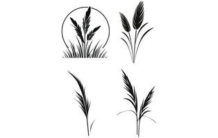 Pampas Gras Silhouette, Pampas Gras Vektor Silhouette