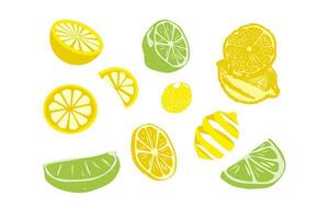 citron, kalk, citron, kalk skivor. vektor illustration.