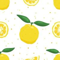 Yuzu japanische Zitronenfrucht nahtlose Muster-Vektor-Illustration. vektor