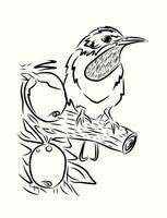 Illustration ofe Vektor Grafik von Kolibri shilouete skizzieren