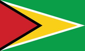 flagga av guyana.national flagga av guyana vektor
