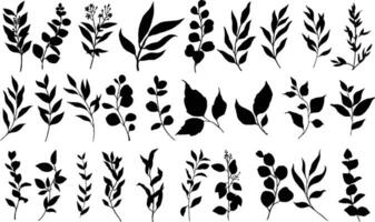 botanisch Silhouette Zeichnungen. Hand gezeichnet Baum Geäst mit Blätter. einstellen von Baum Geäst, Eukalyptus, Palme Blätter, Kräuter und Blumen Silhouetten. vektor