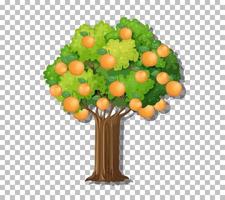 Orangenbaum auf Gitterhintergrund vektor