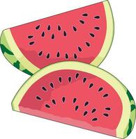 två nyligen cutted vattenmelon bitar vektor