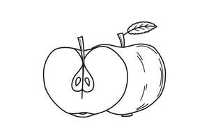 Apfel und Apfel Hälfte Hand gezeichnet Illustration. organisch gesund Lebensmittel. Vektor Illustration isoliert auf Weiß Hintergrund