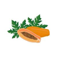 mogen papaya korsa sektion, halv och hela exotisk utsökt frukt med svart frön och grön löv. platt vektor tecknad serie illustration isolerat på vit bakgrund