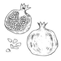 halv och hela granatäpple. hand dragen bläck vektor illustration