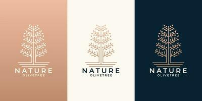 skönhet natur oliv träd logotyp design uppsättning för din företag salong, kosmetisk, spa, hälsa vektor
