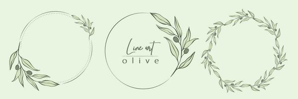 botanisch Linie Illustration einstellen von Olive Blätter, Ast Kranz zum Hochzeit Einladung und Karten, Logo Design, Netz, Sozial Medien und Plakate Vorlage. elegant minimal Stil Blumen- Vektor isoliert.