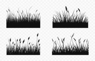 Panorama- Gras schwarz Silhouetten, nahtlos Gras Vektor Silhouette einstellen