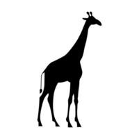 Giraffe schwarz Vektor Symbol isoliert auf Weiß Hintergrund