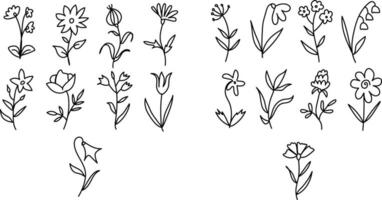 hand dragen vår, spara de datum, kort, minimal dragen blommig botanisk linje konst buketter vår, trendig element av vild och trädgård växter, grenar, löv, blommor, örter. vektor illustration