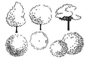 uppsättning av träd, hand teckning, topp se och frontal se. arkitektonisk bläck teckning, vektor. vektor