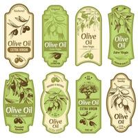 Olive Öl Etikett. Prämie extra Jungfrau Öle, schwarz Oliven auf Geäst mit Blätter und Hand gezeichnet Olive Baum skizzieren Vektor Illustration einstellen