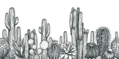Hand gezeichnet Kakteen. skizzieren saftig Agave, Saguaro und stachelig Birne. Wüste Pflanzen, botanisch horizontal nahtlos Muster Gravur Vektor. vektor