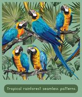 nahtlose Muster Illustration Ara-Vögel mit Blättern. vektor