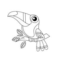Tukan Vogel Zeichnung Linie süß schwarz Weiß Illustration vektor