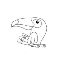 Tukan Vogel Zeichnung Linie süß schwarz Weiß Illustration vektor