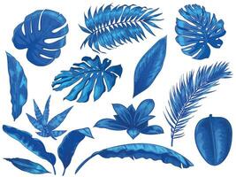 Blau tropisch Blätter. exotisch Palme Baum Blatt, botanisch Monstera und Blumen- isoliert Vektor Illustration einstellen