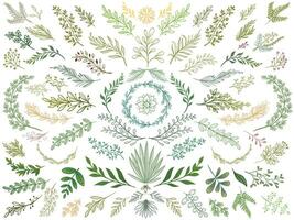 dekor löv. hand dragen grönska grenar, natur grön växter blad och dekorativ skiss löv isolerat vektor illustration uppsättning