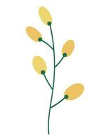 Akazie Blume Ast Hand gezeichnet eben Vektor Illustration von Mimose. skizzieren von ein Frühling Gelb Pflanze zum drucken, Design, Typografie, drucken, Papier, Zeichen, Logo. Schönheit, Garten und Natur