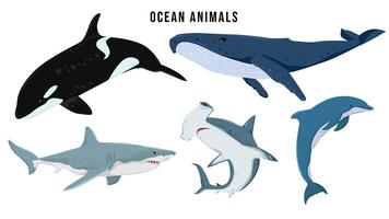 einstellen von Ozean Tiere. Hai, Wal, Hammerkopf Hai, Delfin, Orca, Tierwelt unter Wasser Tiere Vektor Illustration