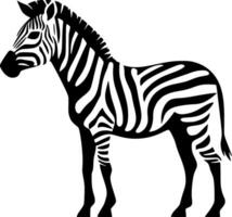 Zebra - - schwarz und Weiß isoliert Symbol - - Vektor Illustration