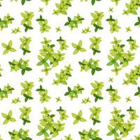 Grönt blad sömlöst mönster vektor