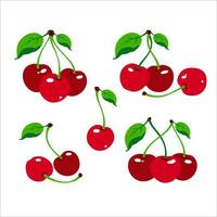 Kirsche-Logo. Kirschbeere mit Blättern. isolierte Beeren auf weißem Hintergrund. Sammlung verschiedener frischer Kirschbeeren. Vektor-Illustration. vektor